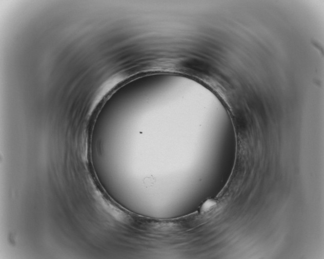 X0000096221131200801251051