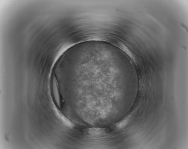 X0000096221132200801251051