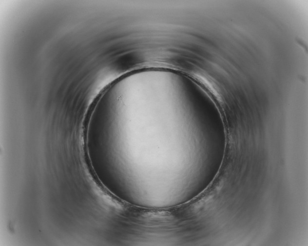 X0000096221133200801251051