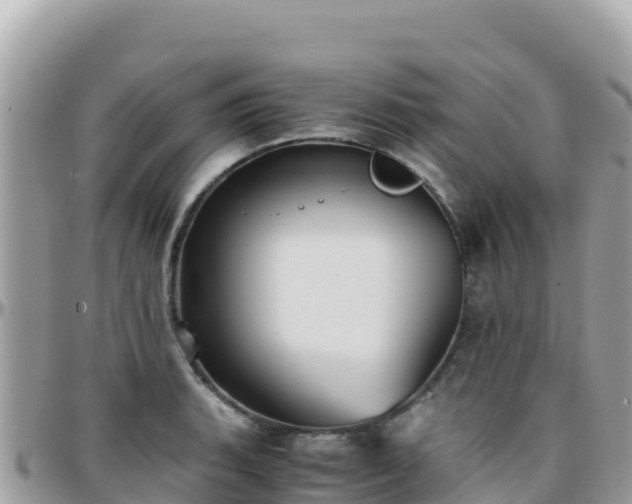 X0000096221135200801251051