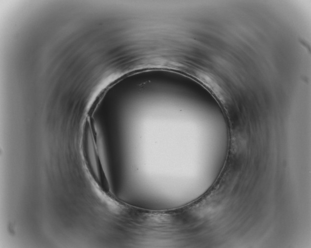 X0000096221136200801251051