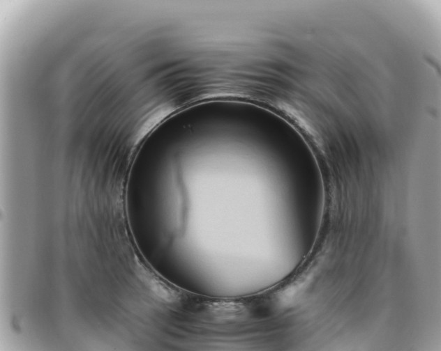 X0000096221137200801251051