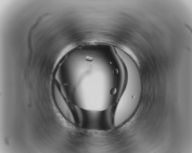 X0000096221138200801251051