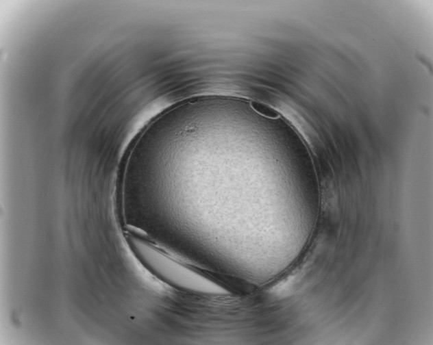 X0000096221139200801251051