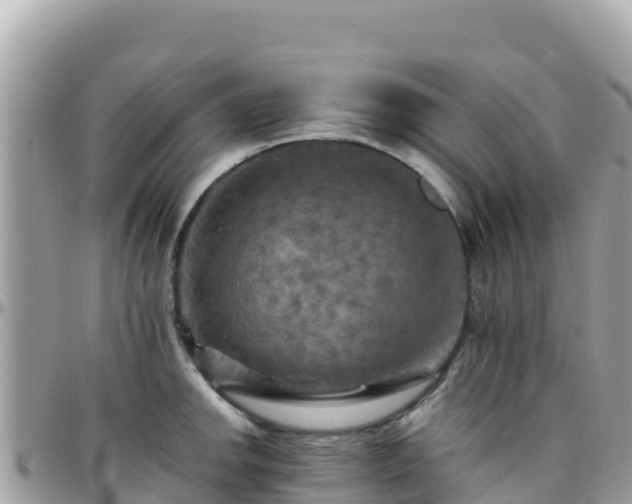 X0000096221142200801251051