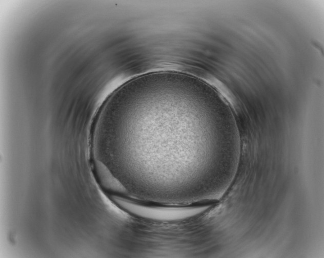 X0000096221143200801251051