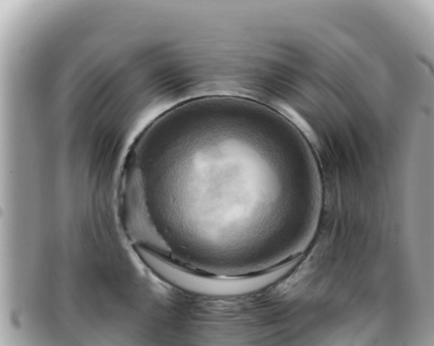 X0000096221144200801251051