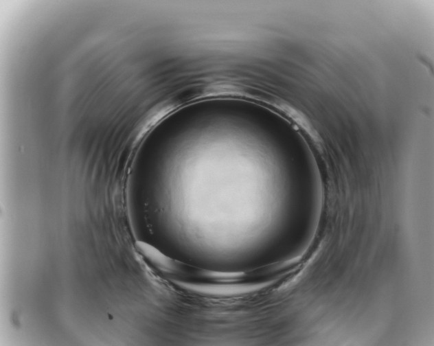 X0000096221145200801251051