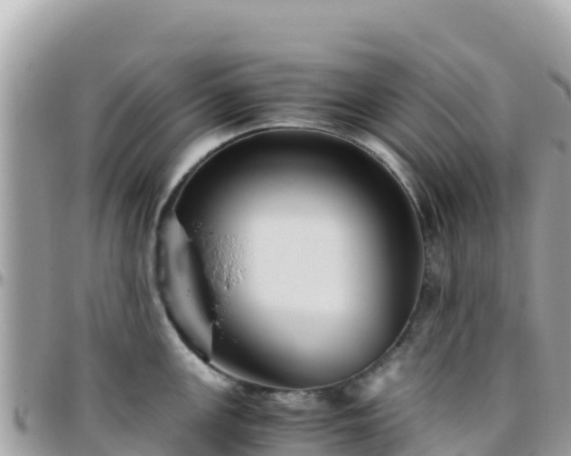 X0000096221147200801251051