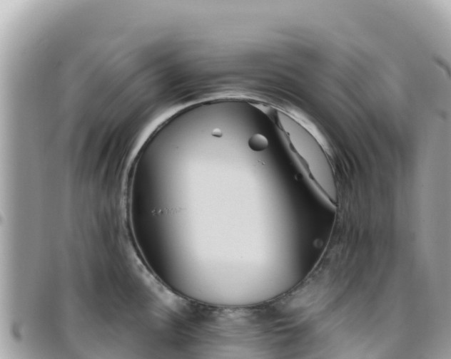 X0000096221148200801251051