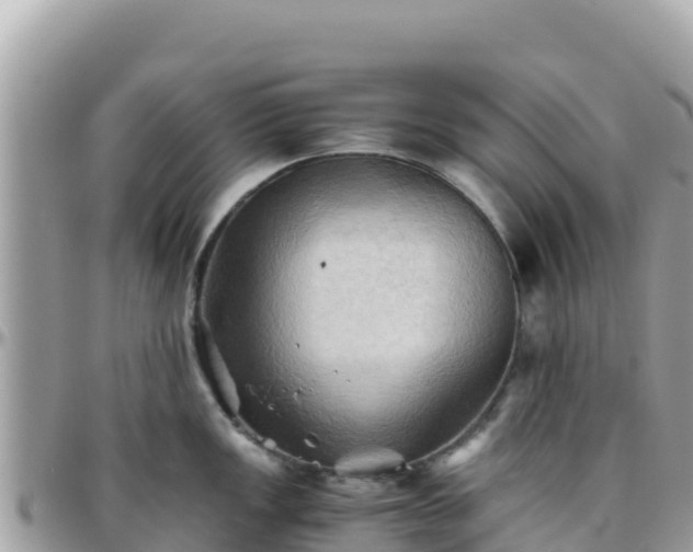 X0000096221149200801251051