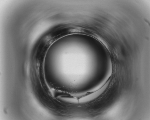 X0000096221151200801251051