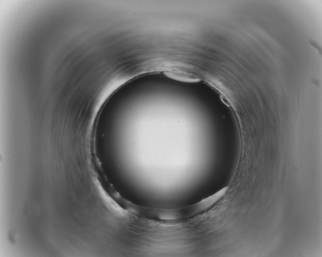 X0000096221152200801251051