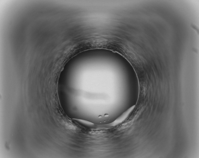 X0000096221153200801251050