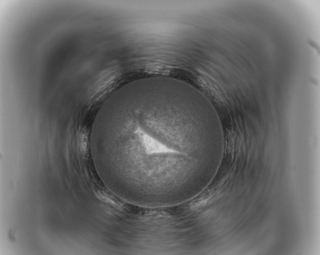 X0000096221154200801251050