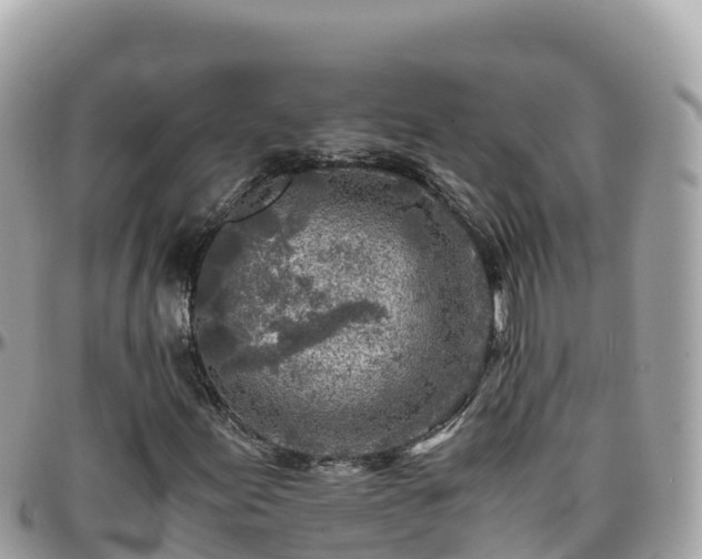 X0000096221155200801251050