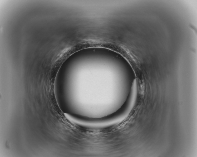 X0000096221157200801251050