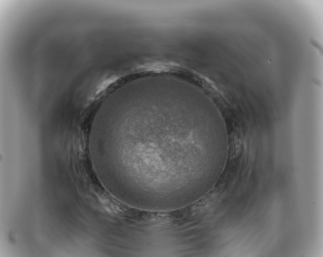 X0000096221158200801251050