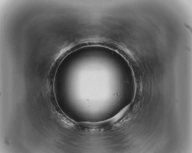 X0000096221160200801251050