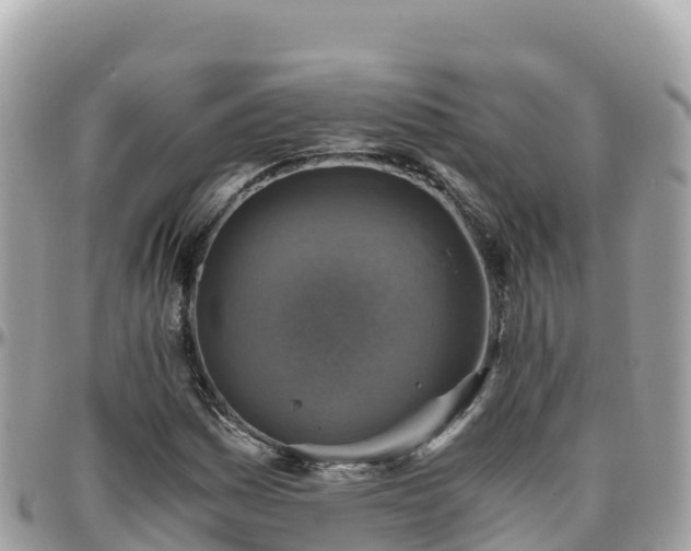 X0000096221161200801251050