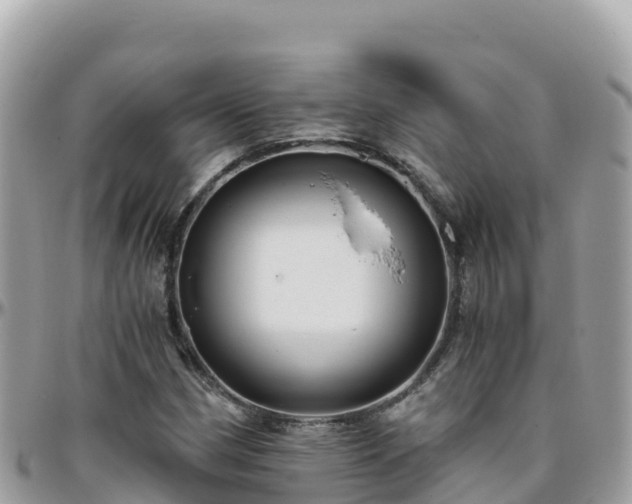 X0000096221162200801251050