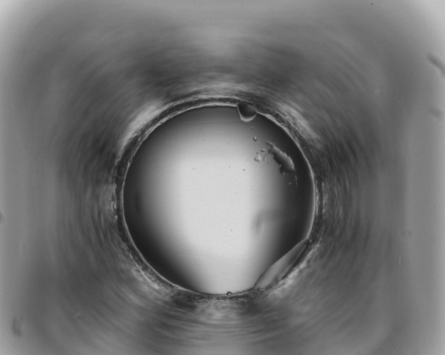 X0000096221164200801251050