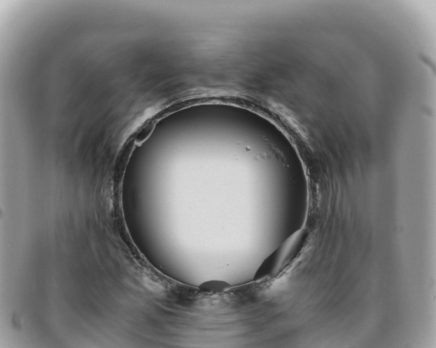 X0000096221165200801251050