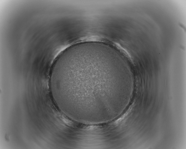 X0000096221166200801251050