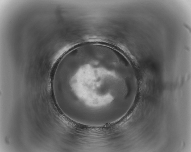 X0000096221167200801251050