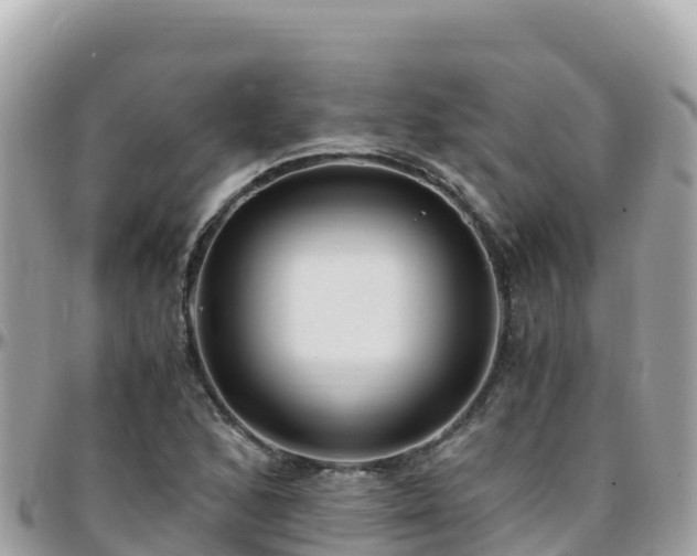 X0000096221168200801251050