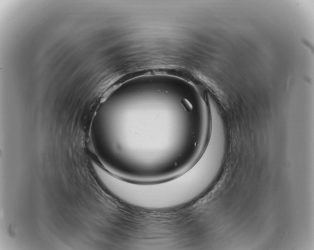 X0000096221169200801251050