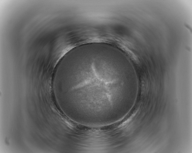 X0000096221170200801251050