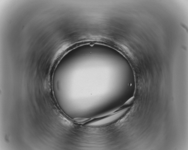 X0000096221172200801251050