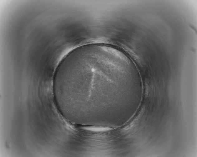 X0000096221174200801251050