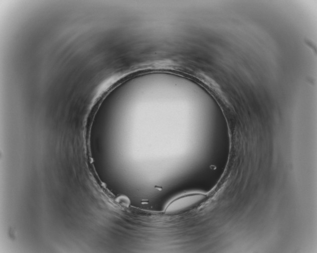 X0000096221176200801251050