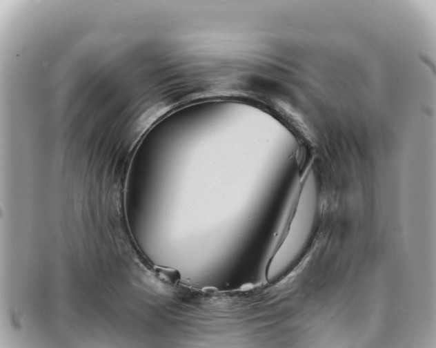 X0000096221177200801251050