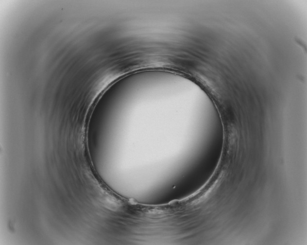 X0000096221178200801251050