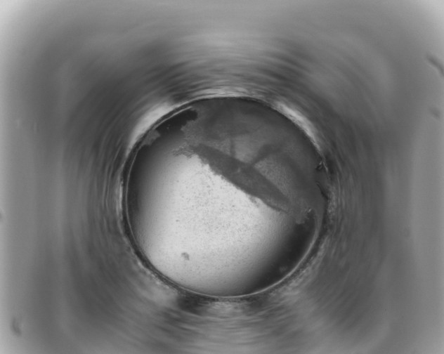 X0000096221179200801251050