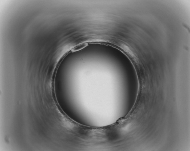 X0000096221181200801251050