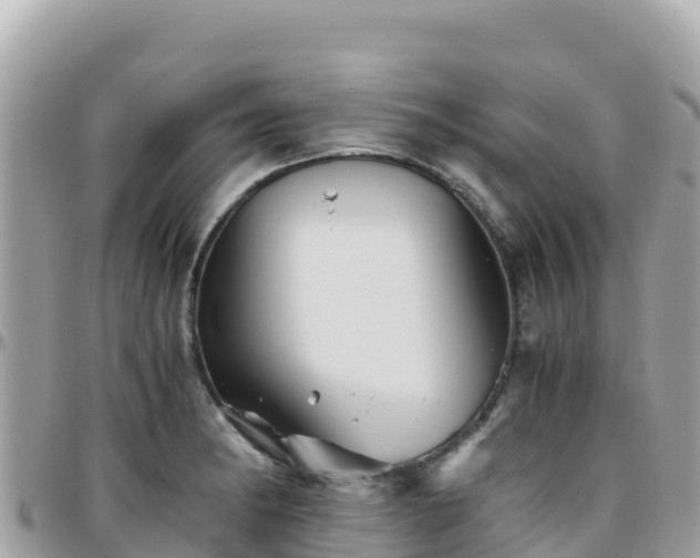 X0000096221182200801251050