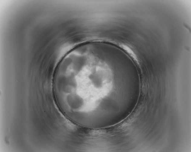 X0000096221183200801251050