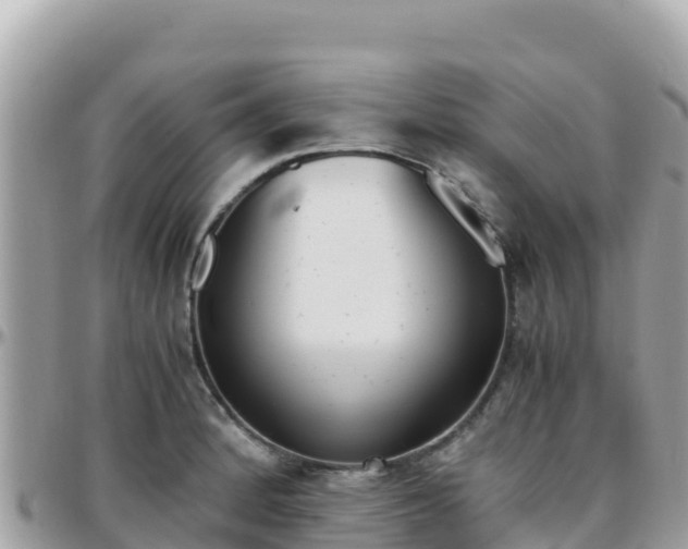 X0000096221184200801251050