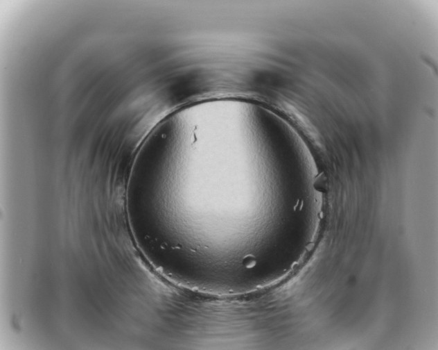 X0000096221185200801251050