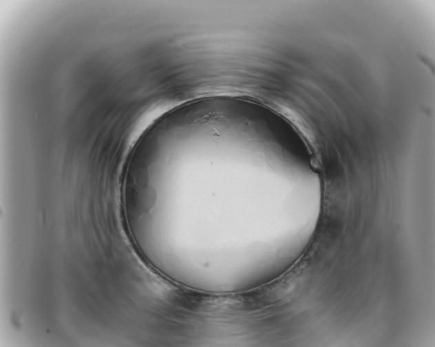 X0000096221187200801251050