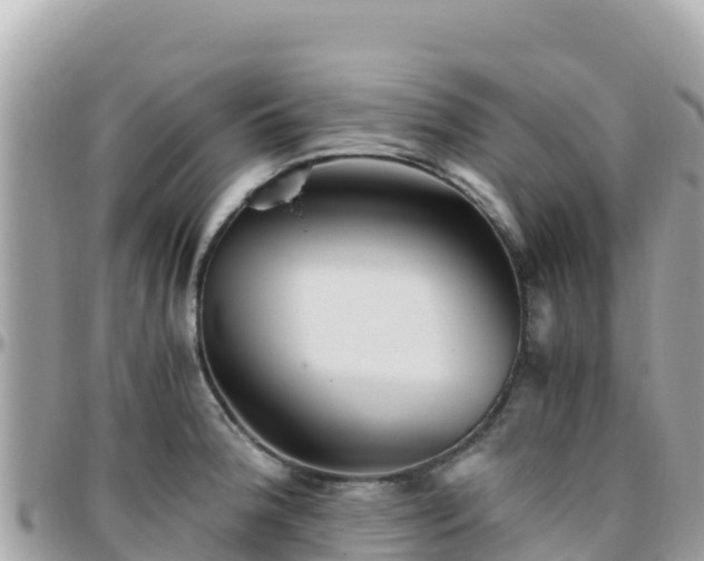 X0000096221188200801251050