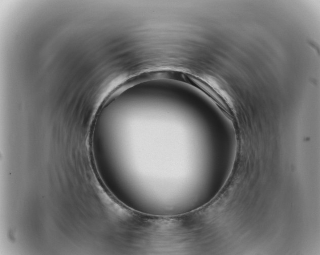 X0000096221189200801251050