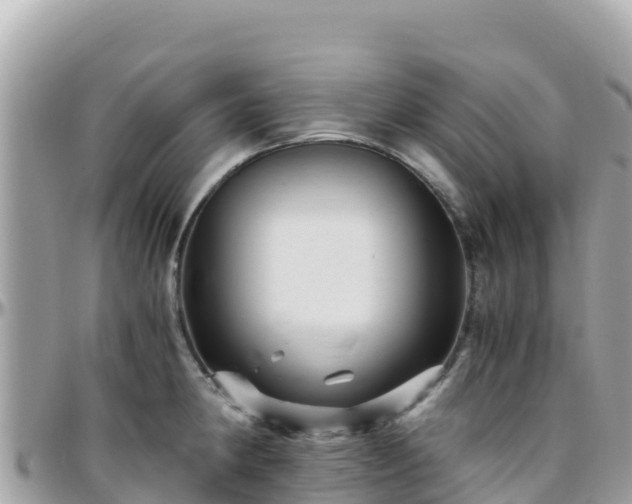 X0000096221190200801251050