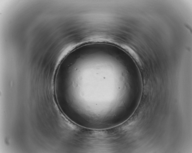 X0000096221191200801251050