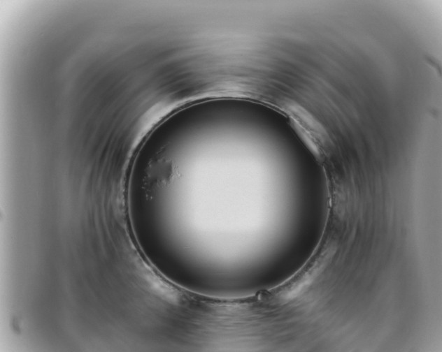 X0000096221192200801251050