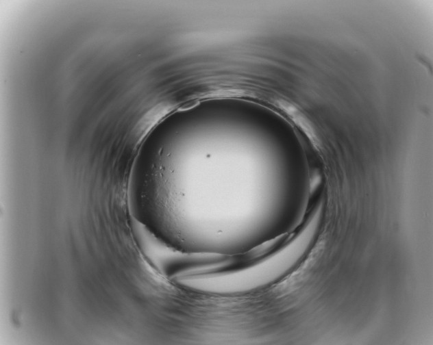 X0000096221193200801251050